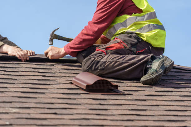 Best Storm Damage Roof Repair  in Holiday, FL