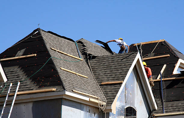 Roof Gutter Cleaning in Holiday, FL