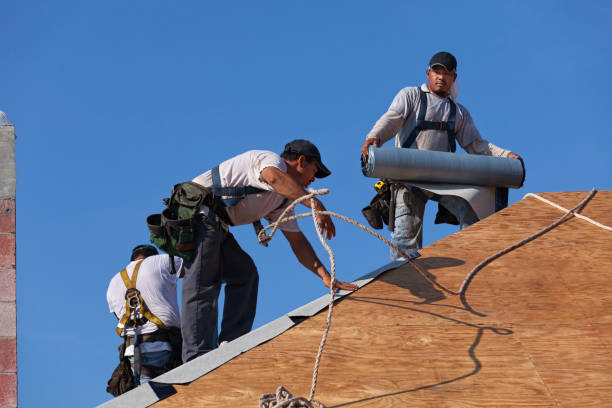 Best Roof Gutter Cleaning  in Holiday, FL