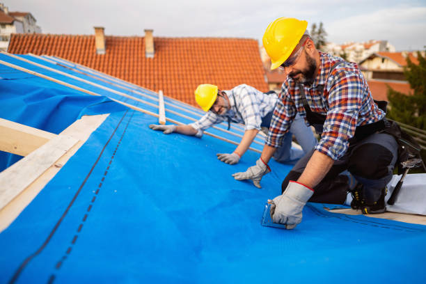 Best Metal Roofing Contractor  in Holiday, FL