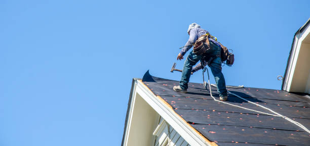 Best Gutter Installation and Roofing  in Holiday, FL
